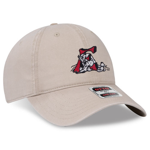 Retro E Dad Hat